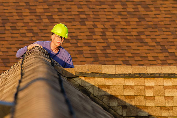 Best Residential Roofing Contractor  in Auburn, IL